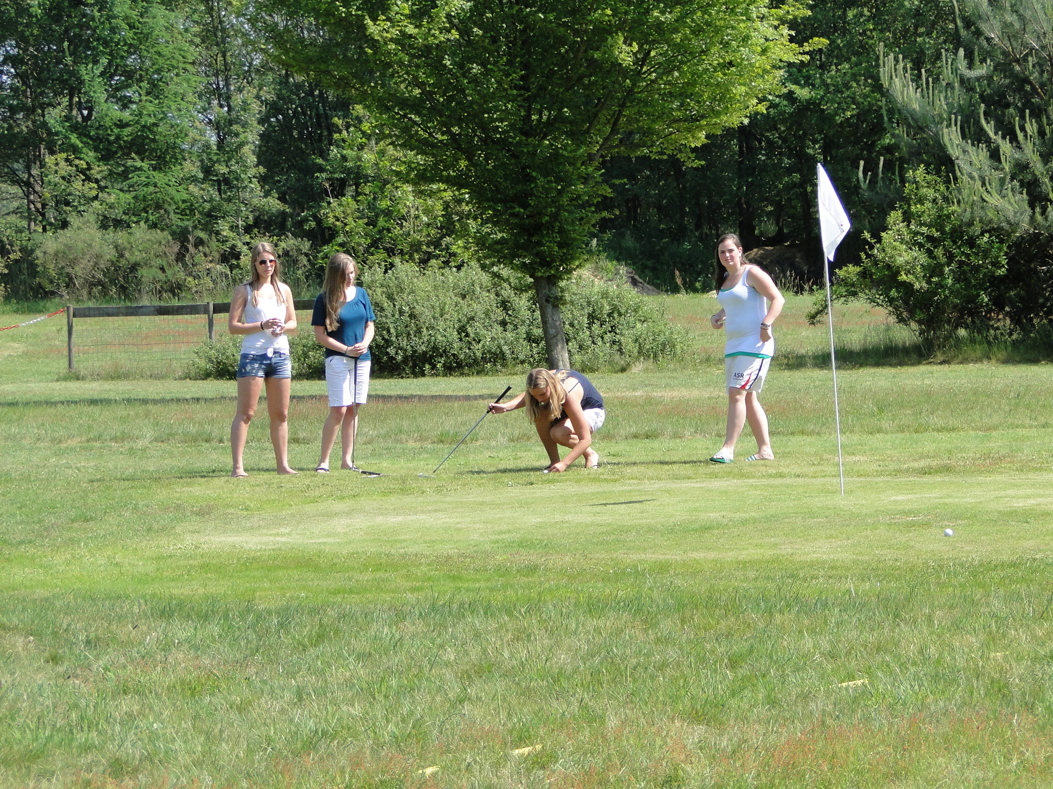 2011HWK 078.jpg